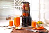 Hands Free Cold Pressed Batch Juicer Heavy Duty Motor (CANADA ONLY)