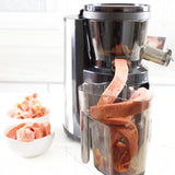 Hands Free Self Feeding Batch Juicer With Heavy Duty Motor - BJ15 (CANADA ONLY)