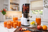MultiFunctional Heavy Duty Cold Pressed Juicer BJ10 (CANADA ONLY)