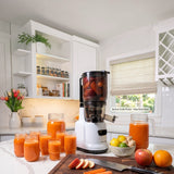 MultiFunctional Heavy Duty Cold Pressed Juicer BJ10