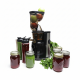Premium Masticating Cold Pressed Juicer With High Torque Motor