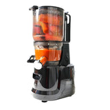 MultiFunctional Heavy Duty Cold Pressed Juicer BJ10