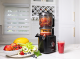 XL Capacity Hands Free High-Induction AC Motor Juicer -BJ23 -2026 Model (CANADA ONLY)