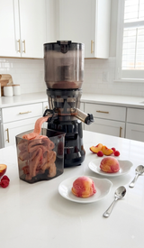 MultiFunctional Heavy Duty Cold Pressed Juicer BJ10