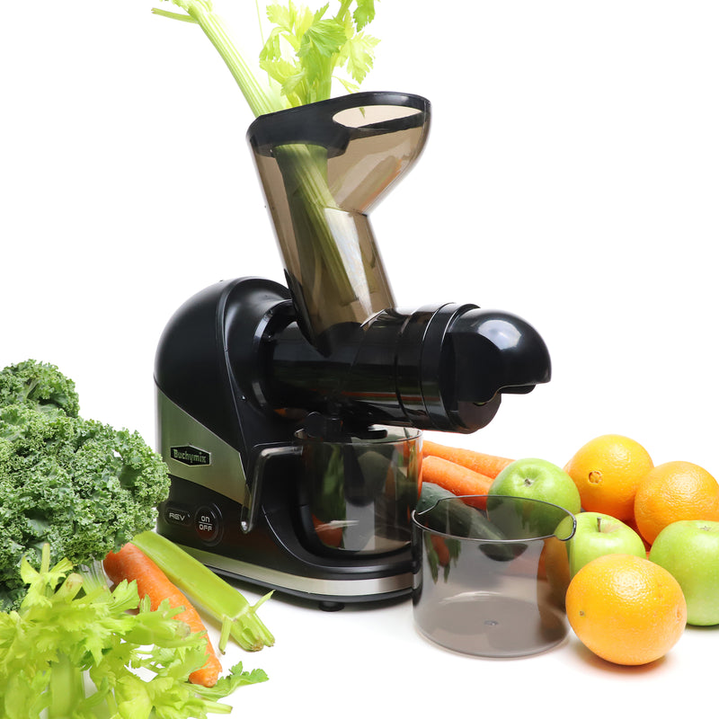 Masticating Horizontal slow Juicer for Vegies & Fruits- With Big and Small Chute