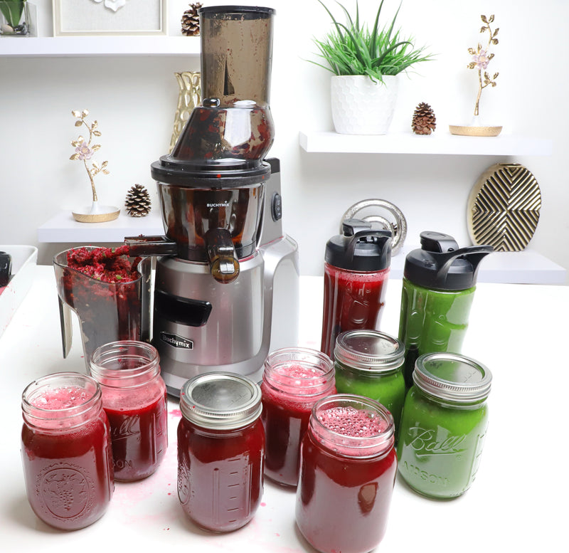 Buchymix Multi-purpose Masticating Whole Slow Cold-Press Juicer