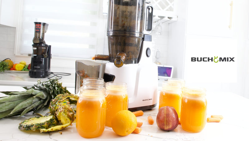 Hands Free Cold Pressed Batch Juicer Heavy Duty Motor with Citrus Juicer