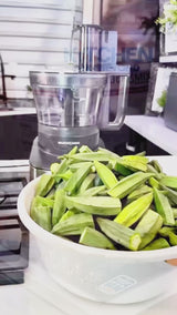 Large Capacity Multifunction Pro Food Processor With Unbreakable Bowl (OLD MODEL)