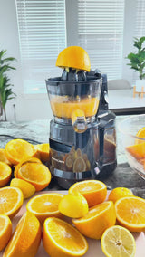 Hands Free Self Feeding Batch Juicer With Heavy Duty Motor - BJ15 (CANADA ONLY)
