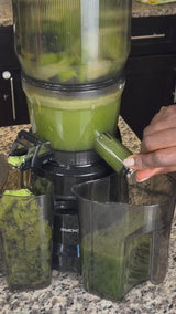 Hands Free Self Feeding Batch Juicer With Heavy Duty Motor - BJ15 (CANADA ONLY)
