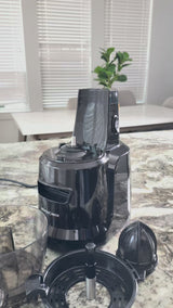 Hands Free Self Feeding Batch Juicer With Heavy Duty Motor -BJ15