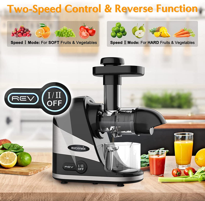 Masticating Horizontal slow Juicer for Vegies & Fruits- With Big and Small Chute